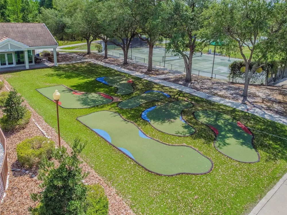 17708 LONG RIDGE ROAD Tampa, FL 33647