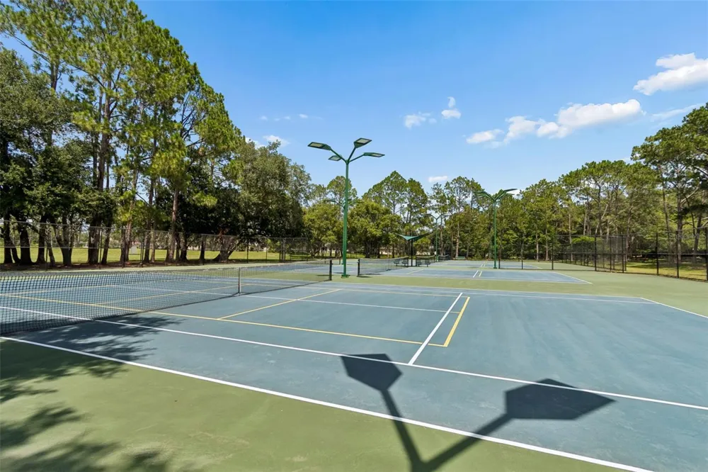 17708 LONG RIDGE ROAD Tampa, FL 33647
