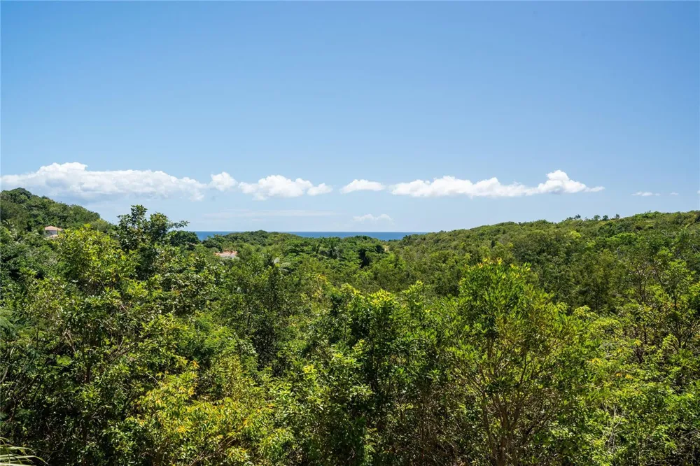 44 COCOLOBA STREET #44 Humacao, PR 00791