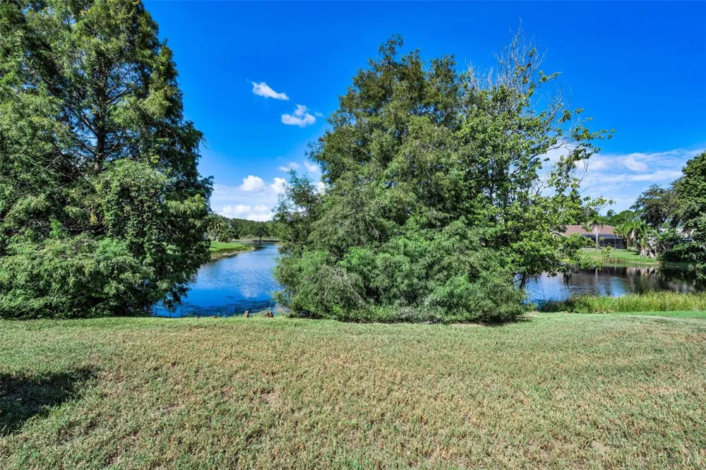 802 CENTERWOOD DRIVE Tarpon Springs, FL 34688