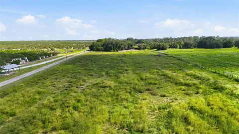 MAMMOTH GROVE ROAD