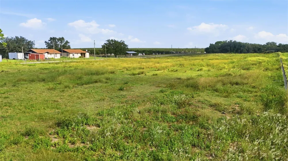 MAMMOTH GROVE ROAD Lake Wales, FL 33898