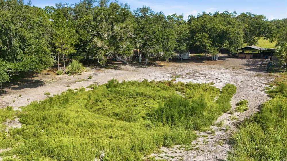 MAMMOTH GROVE ROAD Lake Wales, FL 33898