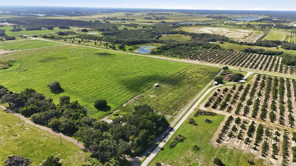 MAMMOTH GROVE ROAD Lake Wales, FL 33898