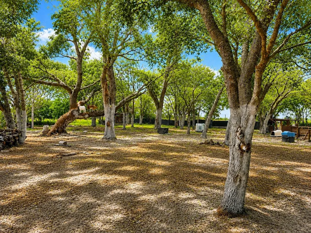 MAMMOTH GROVE ROAD Lake Wales, FL 33898