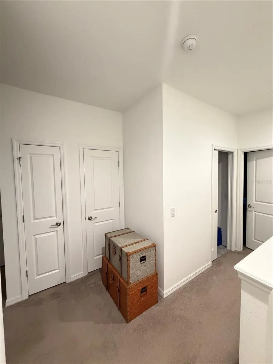 11102 HANLON TERRACE ALLEY Winter Garden, FL 34787