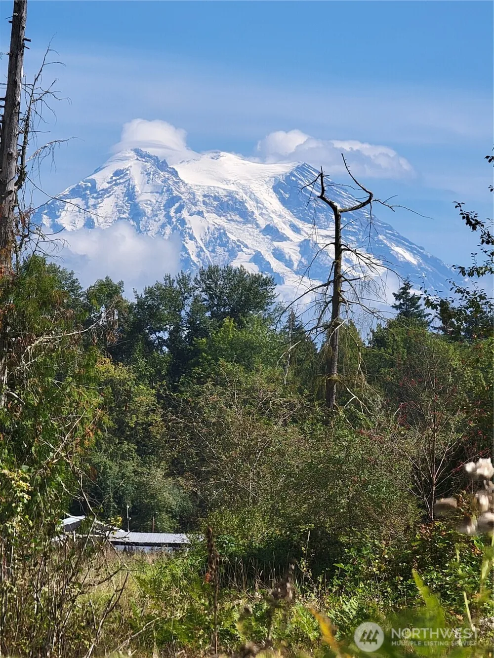 31208 Lebor Devore Road E Eatonville, WA 98328