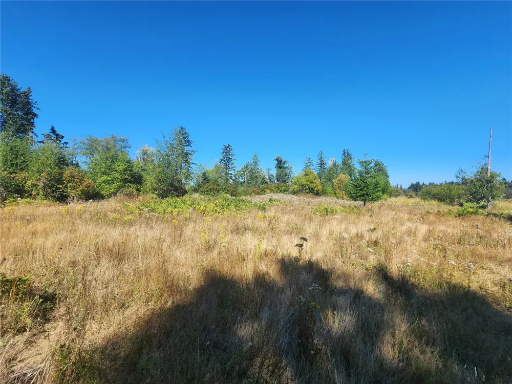 31208 Lebor Devore Road E Eatonville, WA 98328