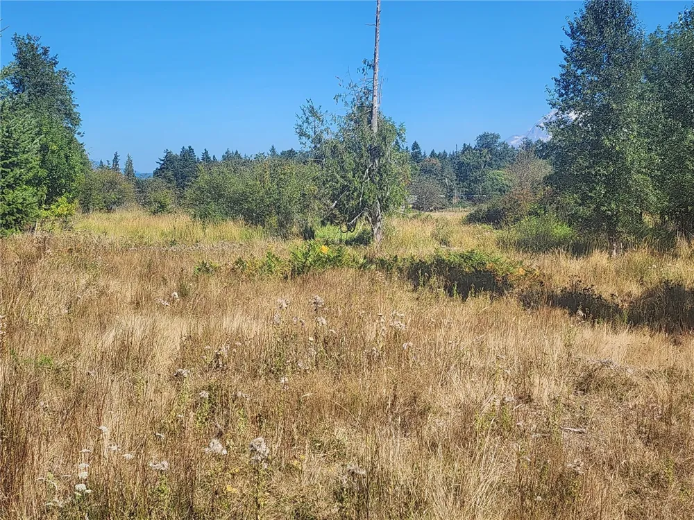 31208 Lebor Devore Road E Eatonville, WA 98328