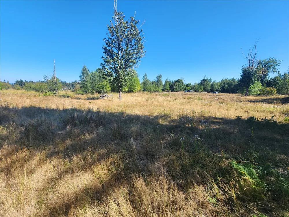 31208 Lebor Devore Road E Eatonville, WA 98328