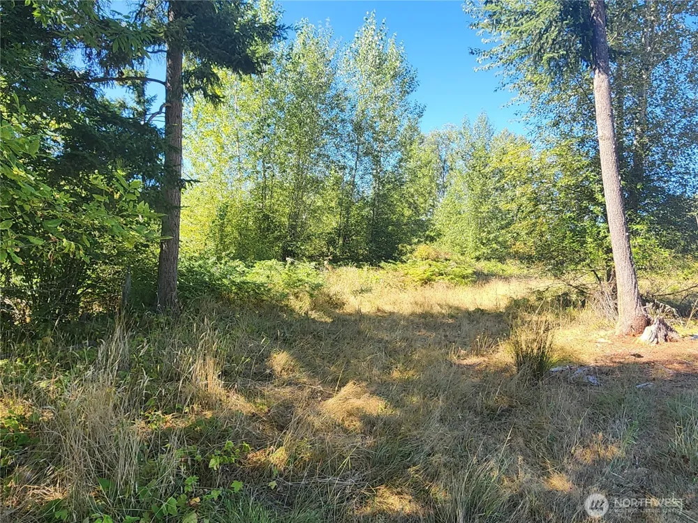 31208 Lebor Devore Road E Eatonville, WA 98328