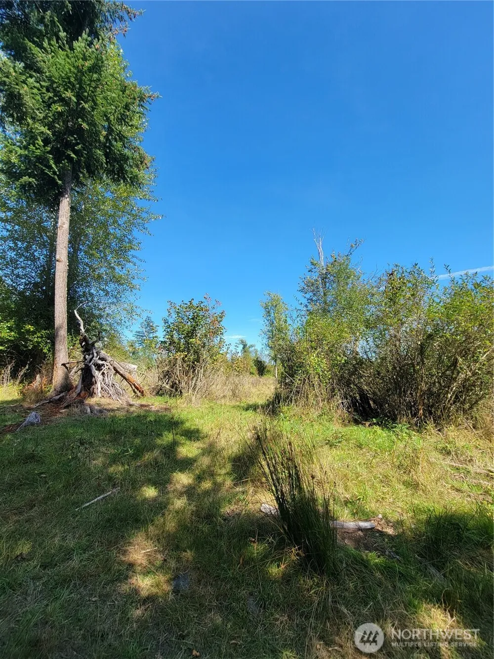31208 Lebor Devore Road E Eatonville, WA 98328