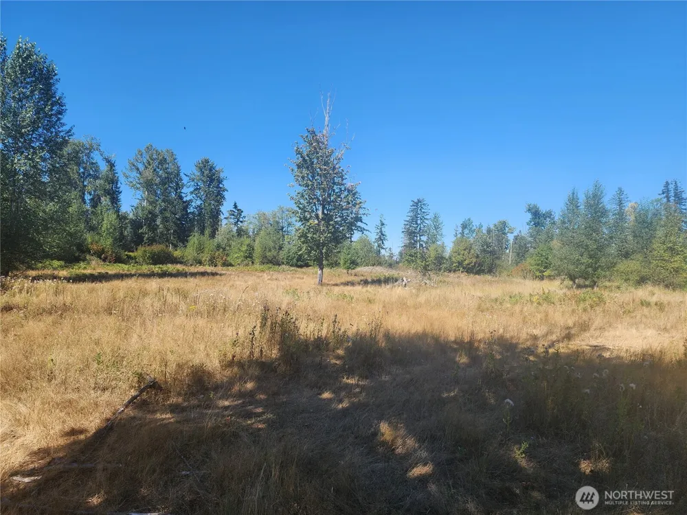31208 Lebor Devore Road E Eatonville, WA 98328