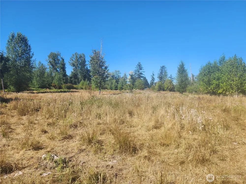 31208 Lebor Devore Road E Eatonville, WA 98328