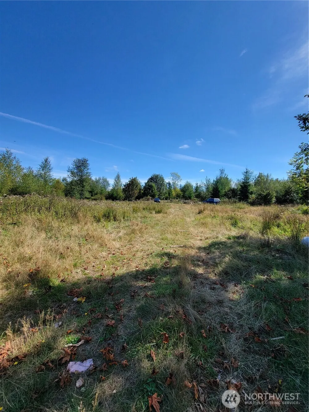 31208 Lebor Devore Road E Eatonville, WA 98328