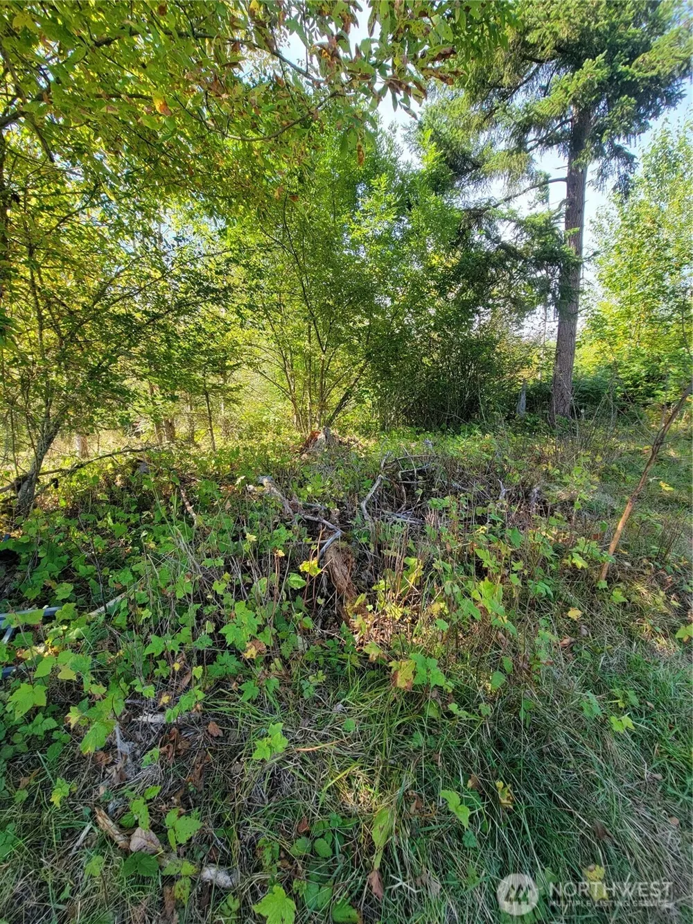 31208 Lebor Devore Road E Eatonville, WA 98328