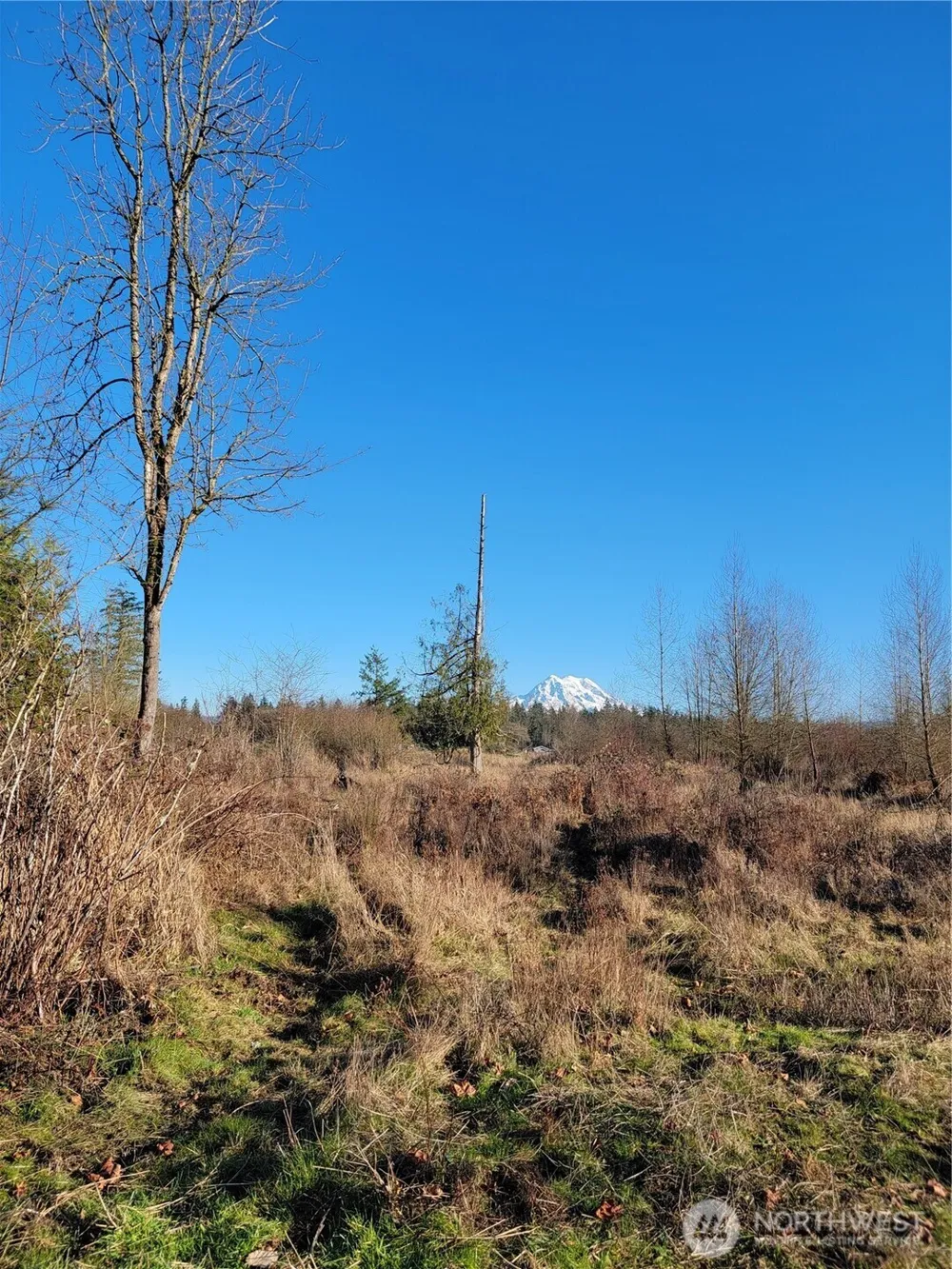 31208 Lebor Devore Road E Eatonville, WA 98328