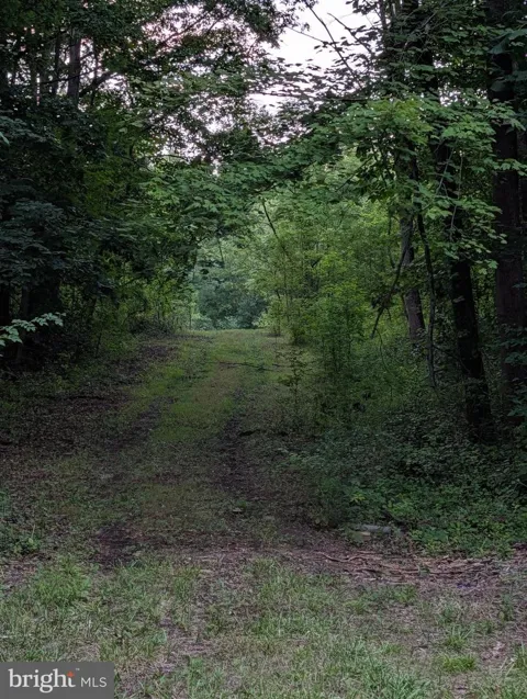 CENTRAL AVENUE