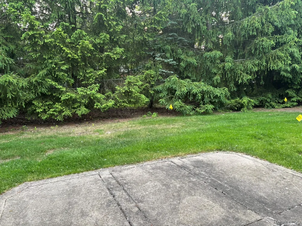 Address Not Shown Canton Charter Township, MI 48187