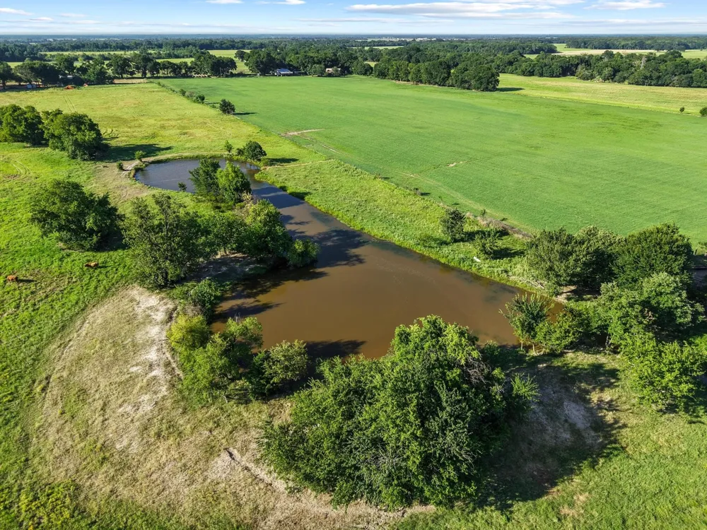 County Road 2131 Telephone, TX 75488