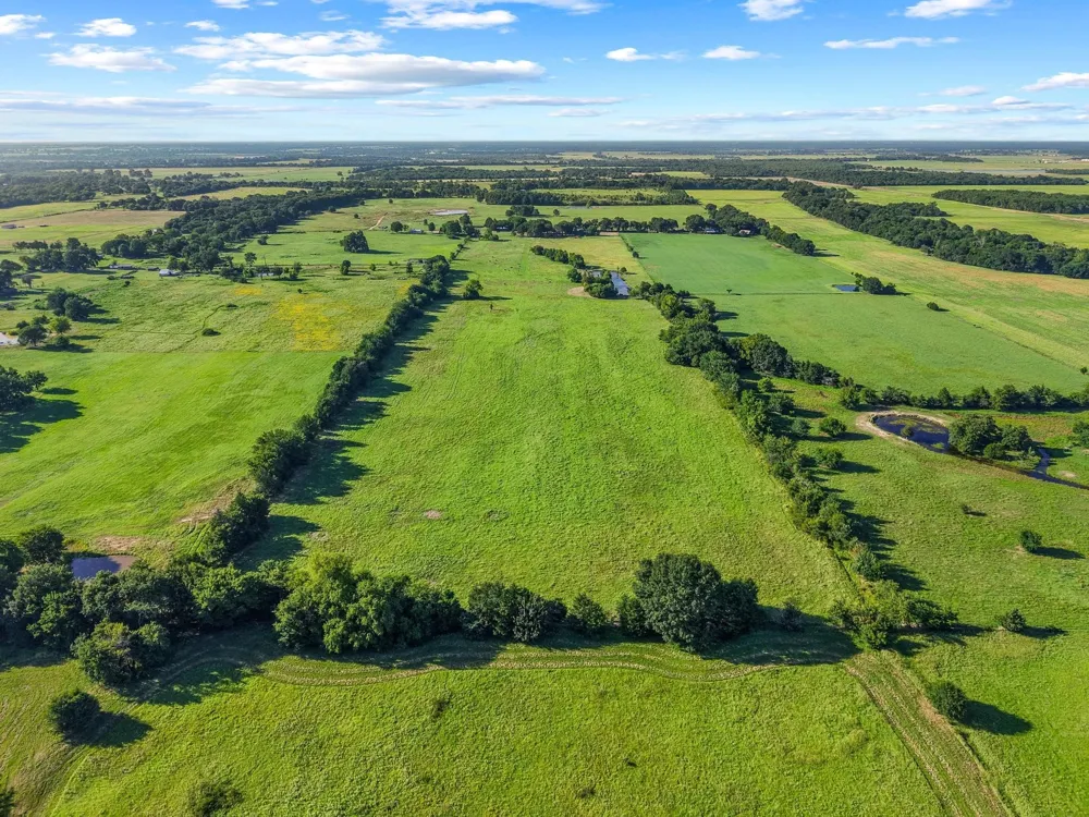 County Road 2131 Telephone, TX 75488