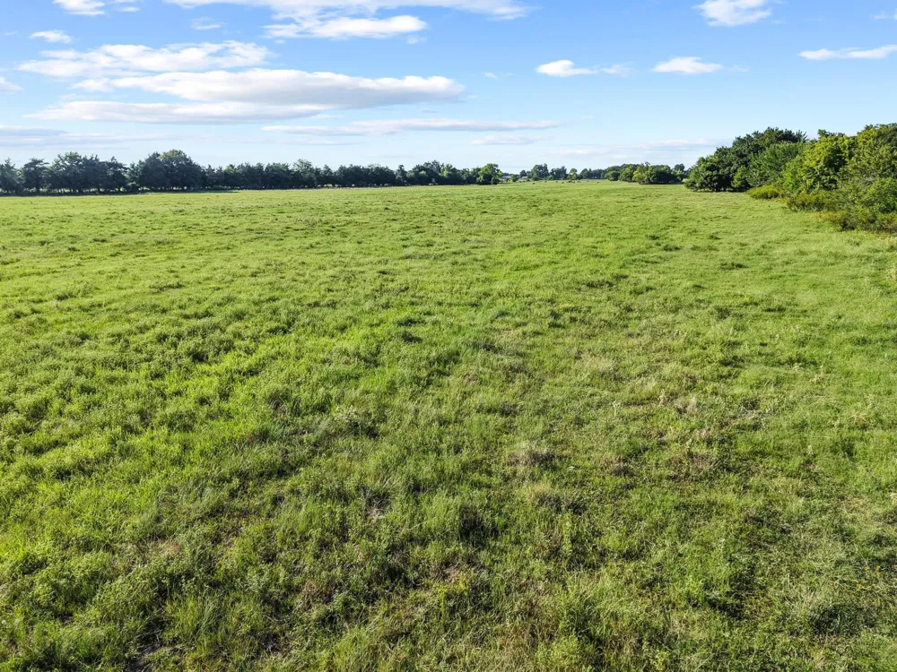 County Road 2131 Telephone, TX 75488