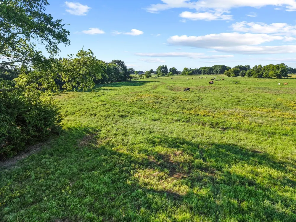 County Road 2131 Telephone, TX 75488