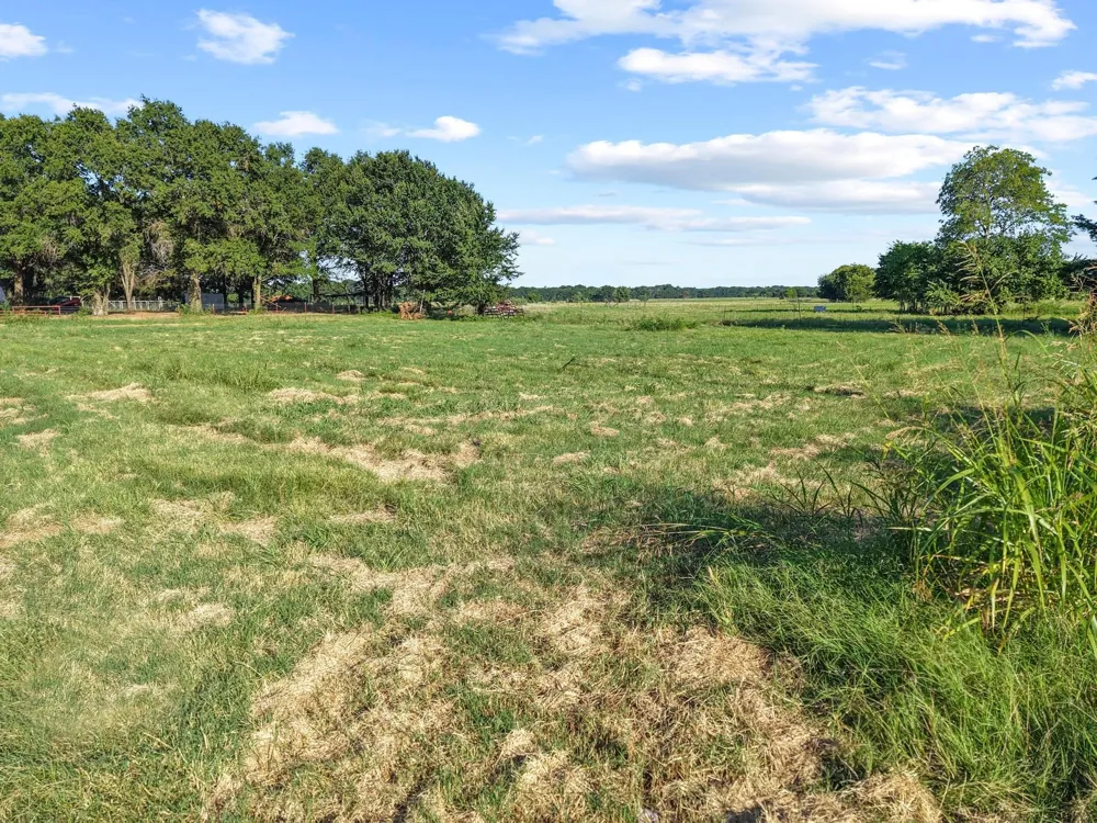 County Road 2131 Telephone, TX 75488