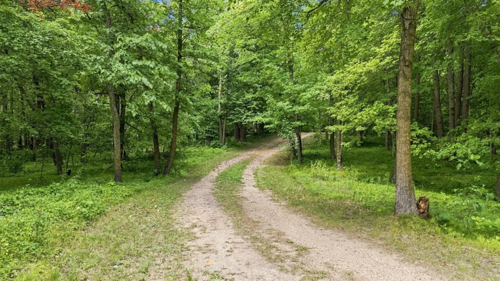 260th Emery Erhard, MN 56534
