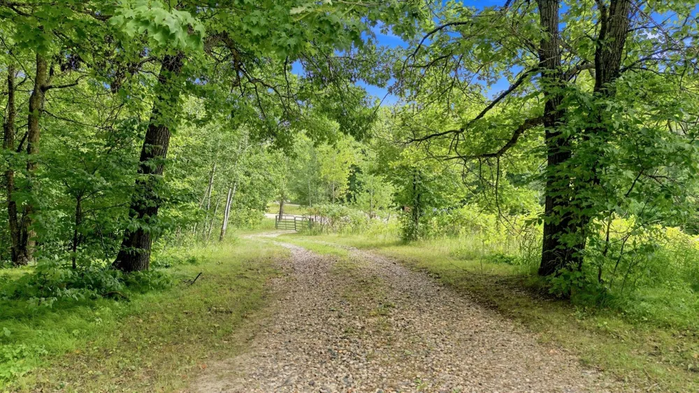 260th Emery Erhard, MN 56534