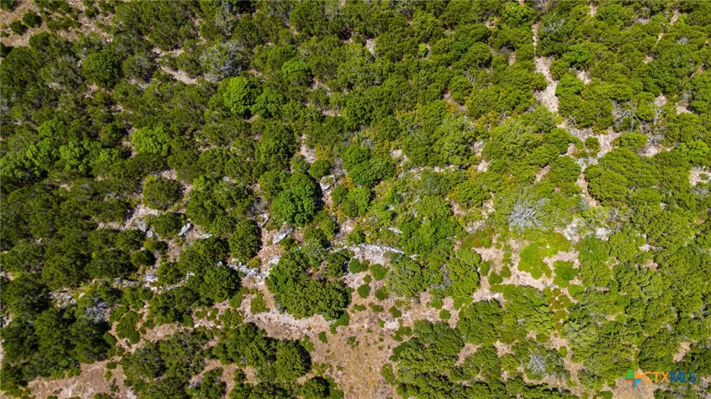64 Blakley Road Gatesville, TX 76528