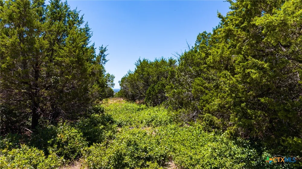 64 Blakley Road Gatesville, TX 76528