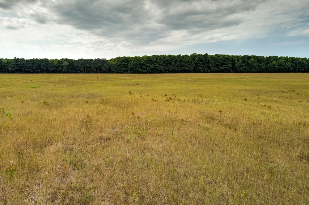 S Plowman Road Empire Township, MI 49630