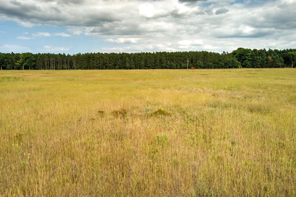 S Plowman Road Empire Township, MI 49630