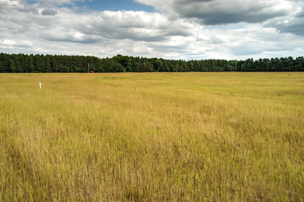 S Plowman Road Empire Township, MI 49630