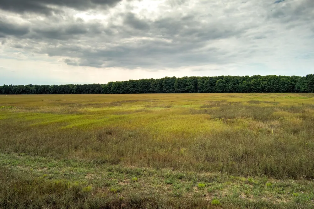 S Plowman Road Empire Township, MI 49630