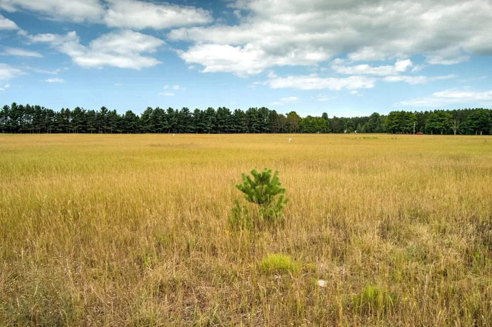 S Plowman Road Empire Township, MI 49630