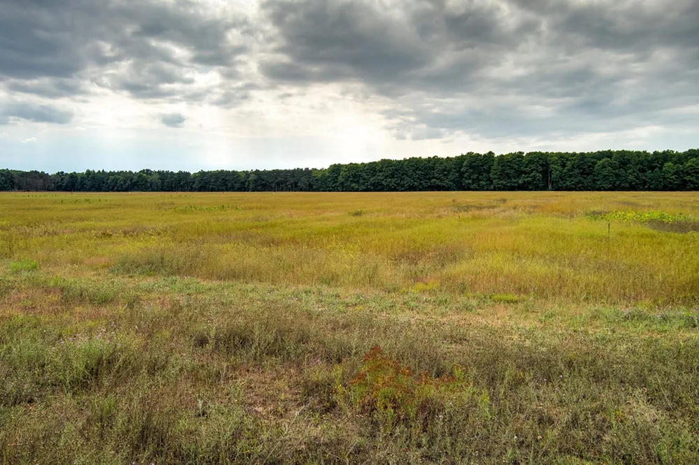 S Plowman Road Empire Township, MI 49630