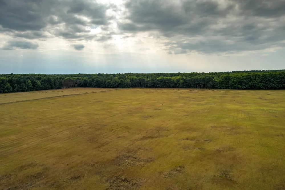 S Plowman Road Empire Township, MI 49630