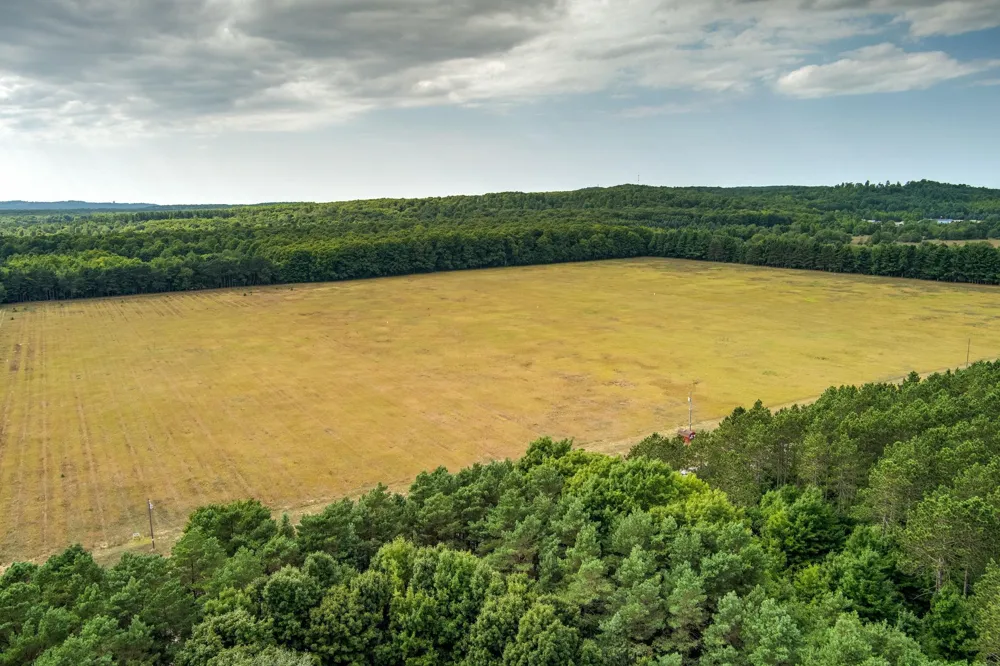 S Plowman Road Empire Township, MI 49630