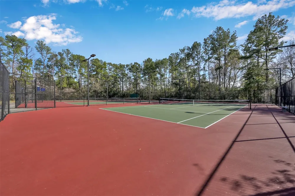 59 Willowwood Circle The Woodlands, TX 77381