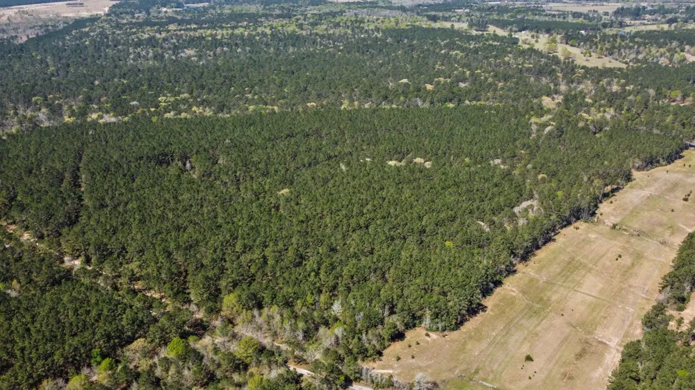 214 Hunters Hill Road Oakhurst, TX 77359