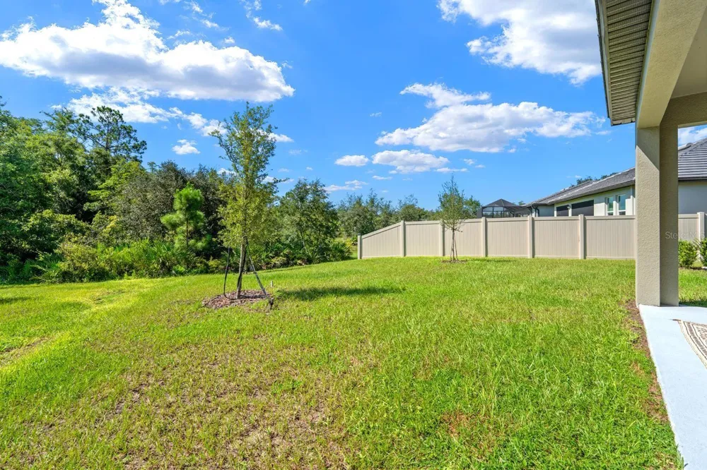 10314 BANYAN BREEZE BOULEVARD Land O Lakes, FL 34638