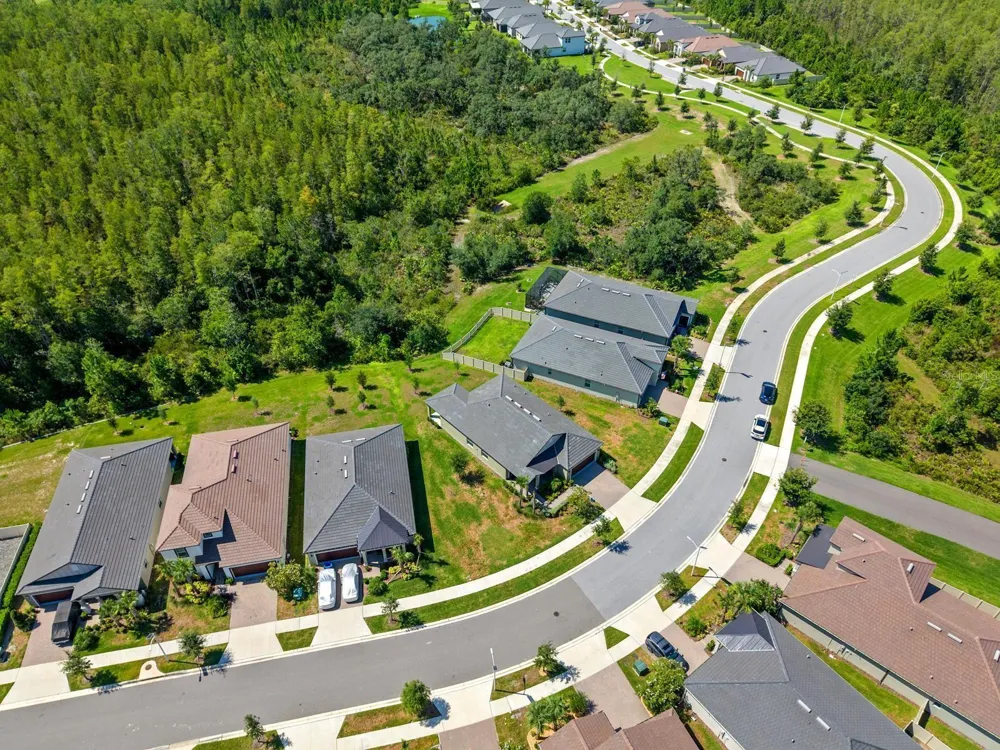 10314 BANYAN BREEZE BOULEVARD Land O Lakes, FL 34638