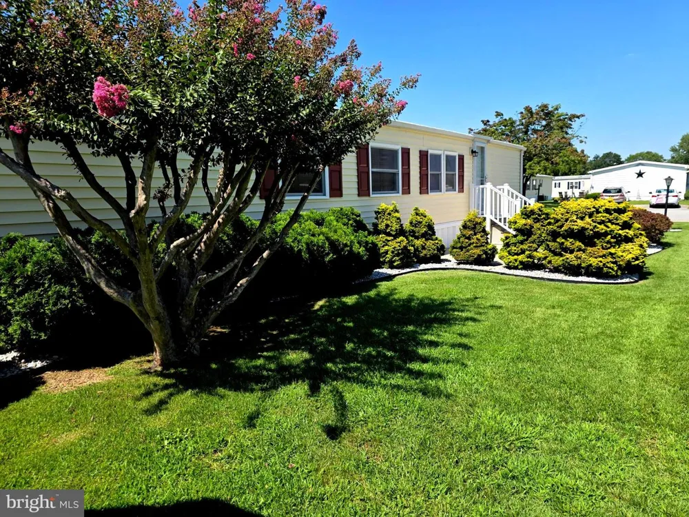 20 BRANCHWOOD DRIVE Rehoboth Beach, DE 19971