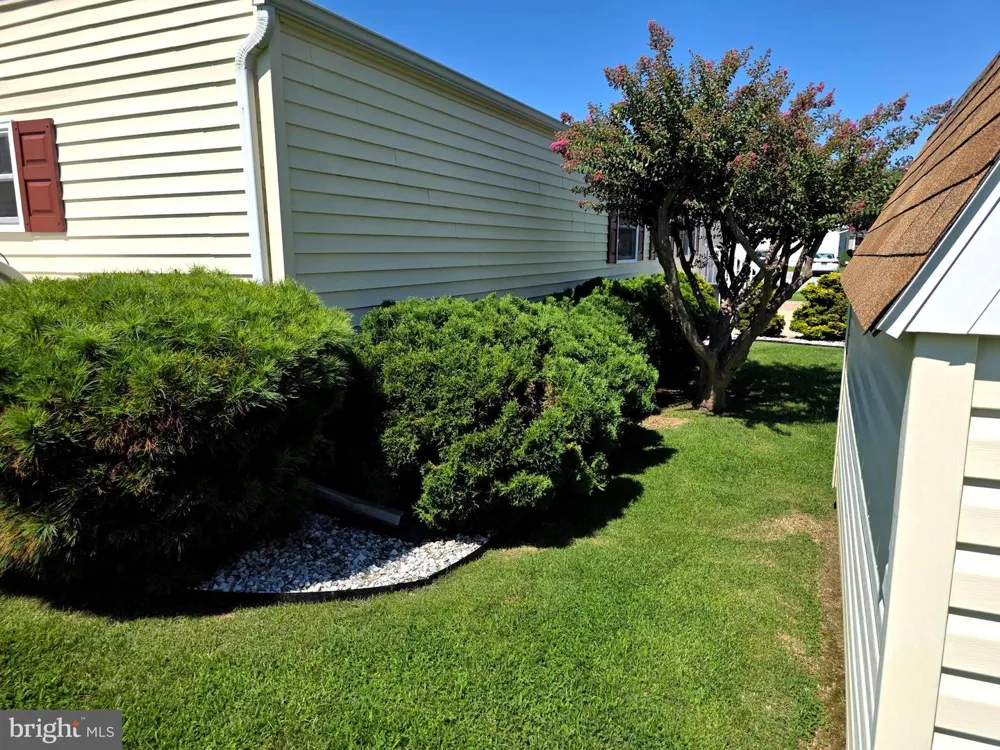 20 BRANCHWOOD DRIVE Rehoboth Beach, DE 19971