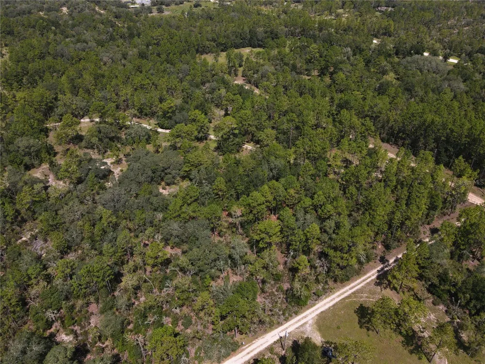 TBD NE 100 AVENUE Archer, FL 32618