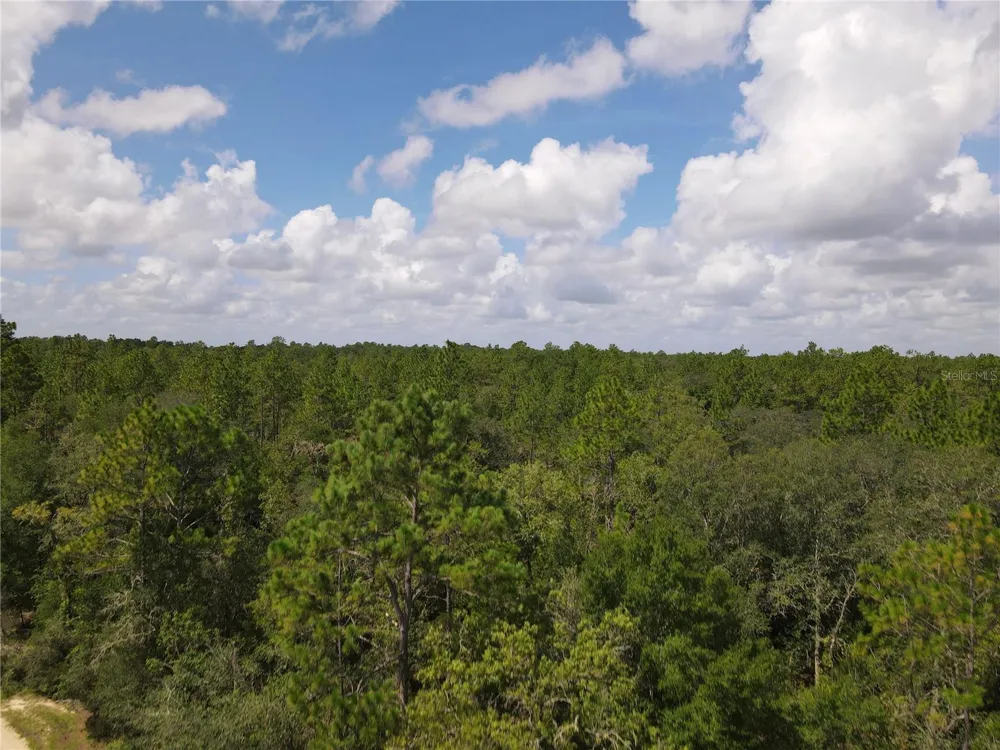 TBD NE 100 AVENUE Archer, FL 32618