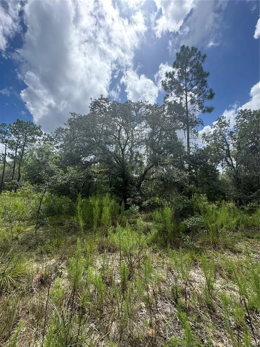 TBD NE 100 AVENUE Archer, FL 32618