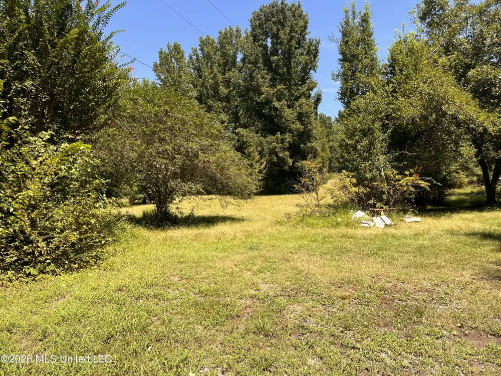 77 Lenzi Road Byhalia, MS 38611